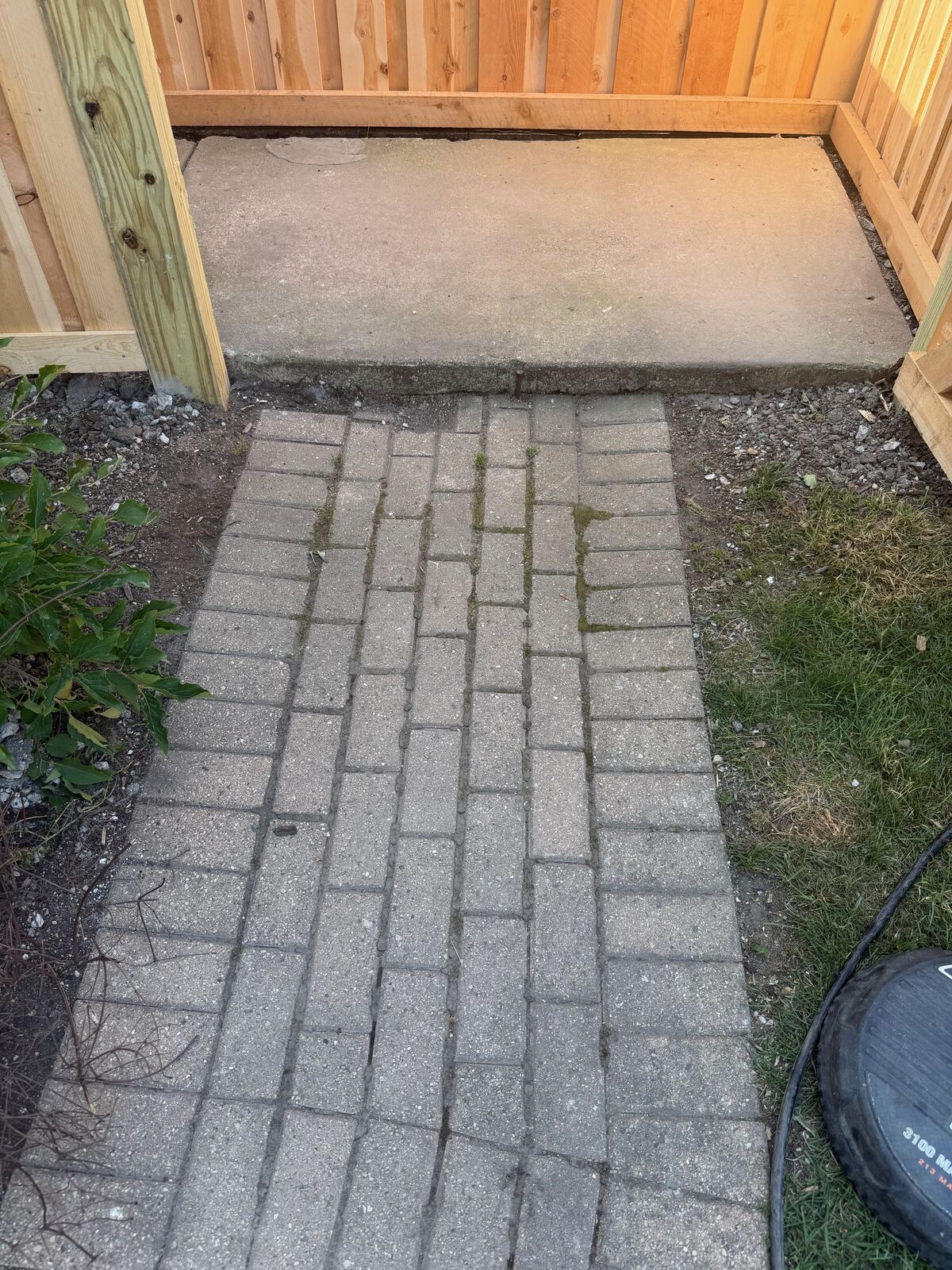 Dirty, mossy brick walkway before pressure washing